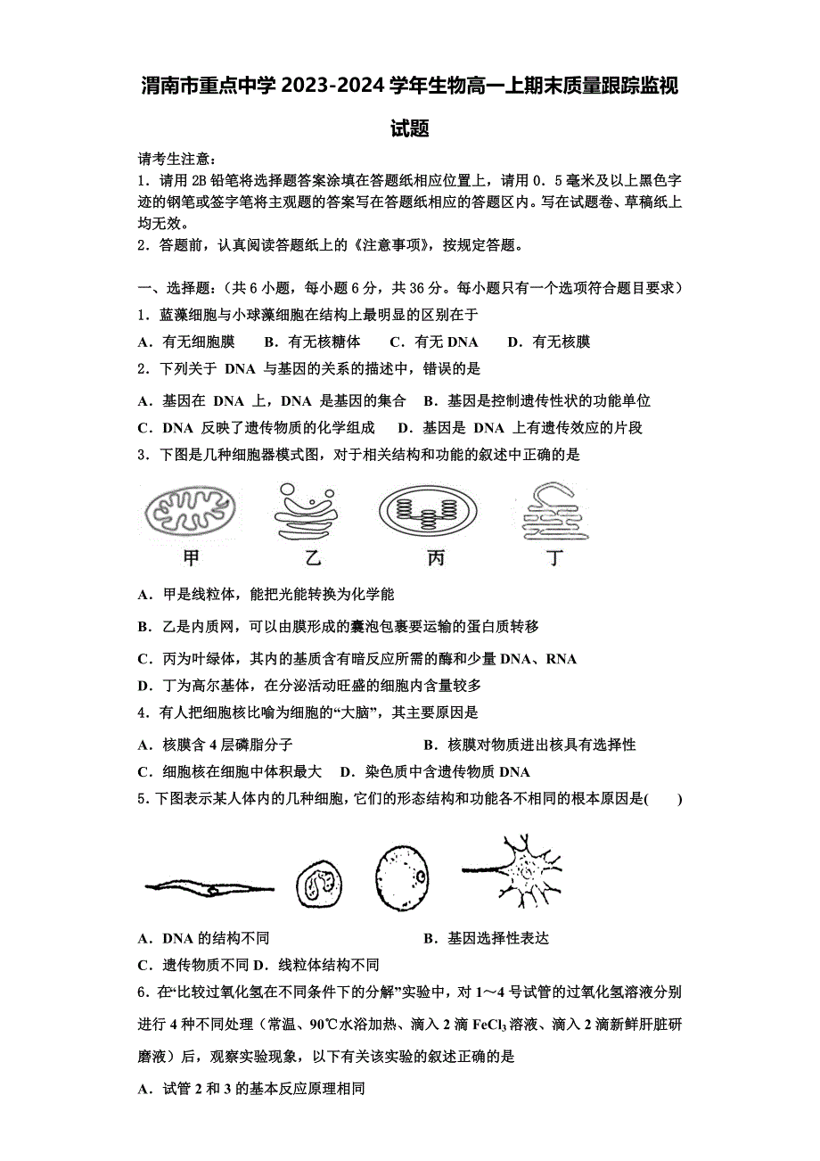 渭南市重点中学2023-2024学年生物高一上期末质量跟踪监视试题含解析_第1页