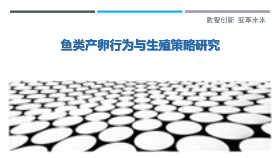 鱼类产卵行为与生殖策略研究_第1页