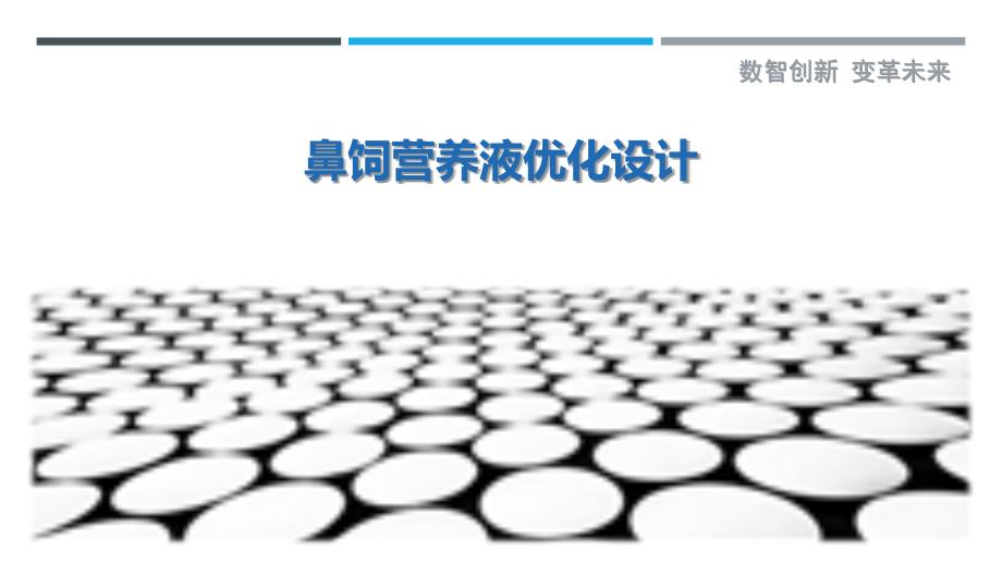 鼻饲营养液优化设计_第1页