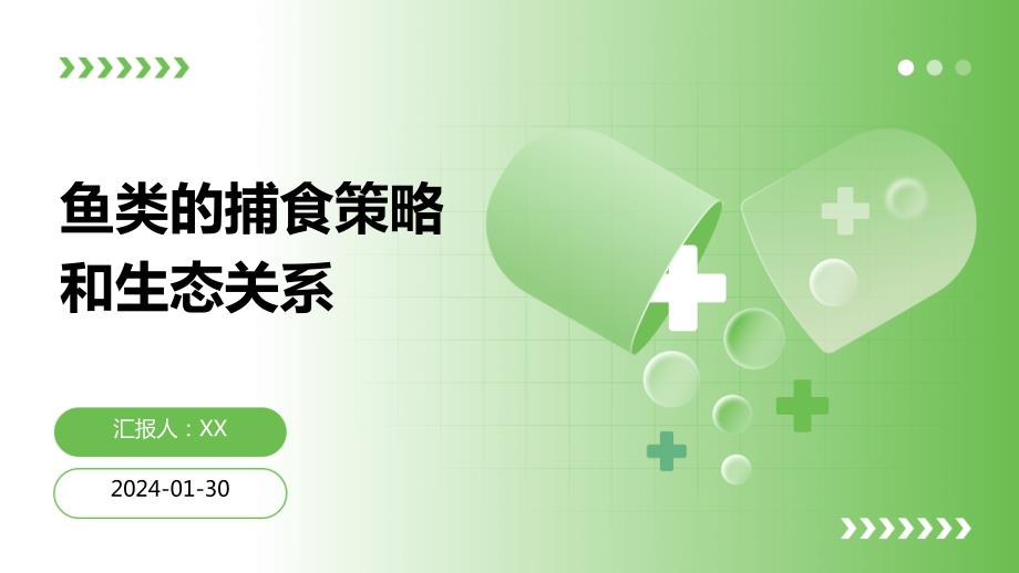 鱼类的捕食策略和生态关系_第1页