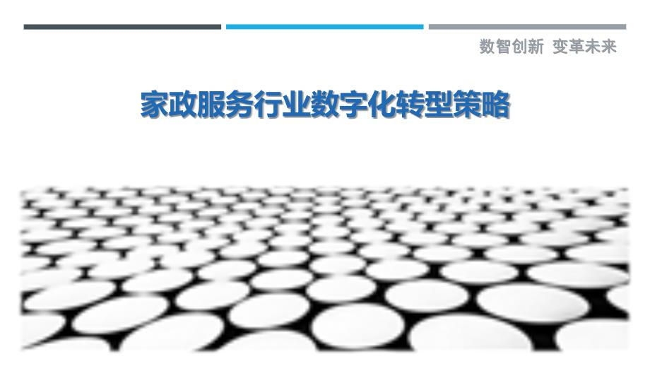 家政服务行业数字化转型策略_第1页