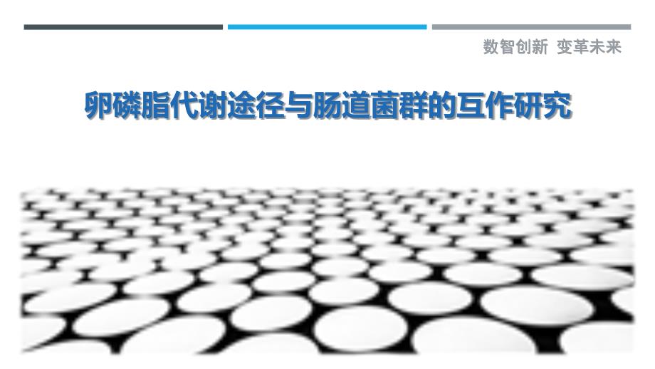 卵磷脂代谢途径与肠道菌群的互作研究_第1页