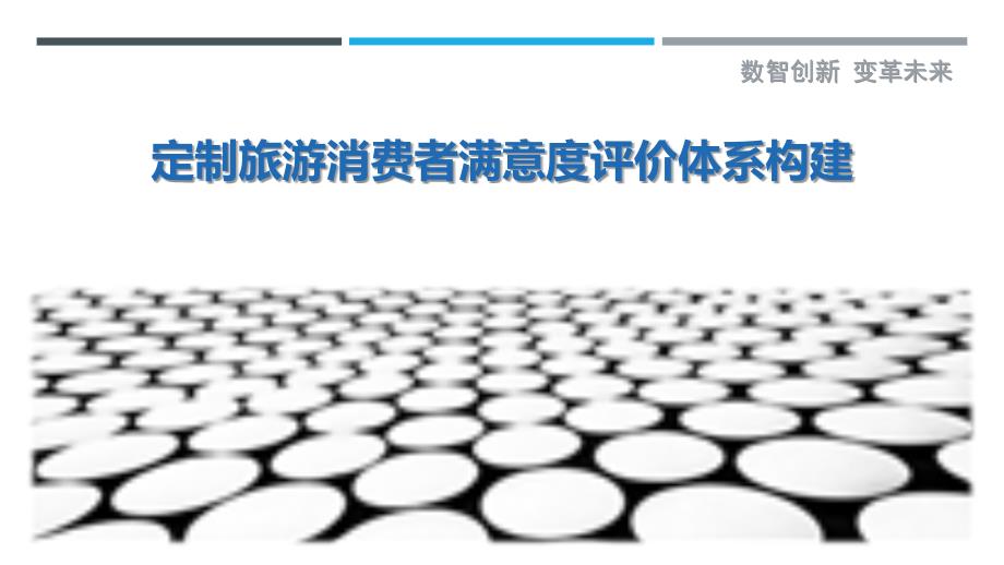 定制旅游消费者满意度评价体系构建_第1页