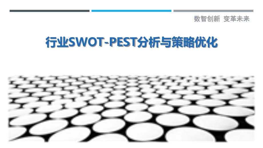 行业SWOT-PEST分析与策略优化_第1页