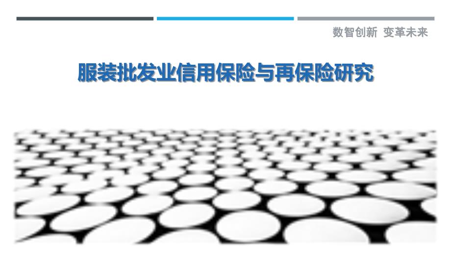 服装批发业信用保险与再保险研究_第1页