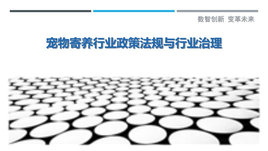 宠物寄养行业政策法规与行业治理_第1页