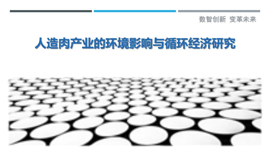 人造肉产业的环境影响与循环经济研究_第1页