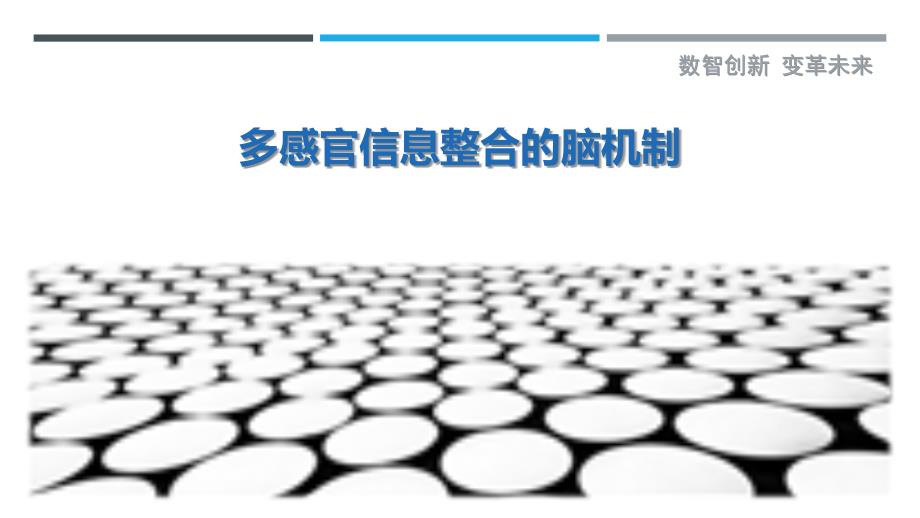 多感官信息整合的脑机制_第1页