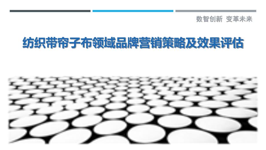 纺织带帘子布领域品牌营销策略及效果评估_第1页