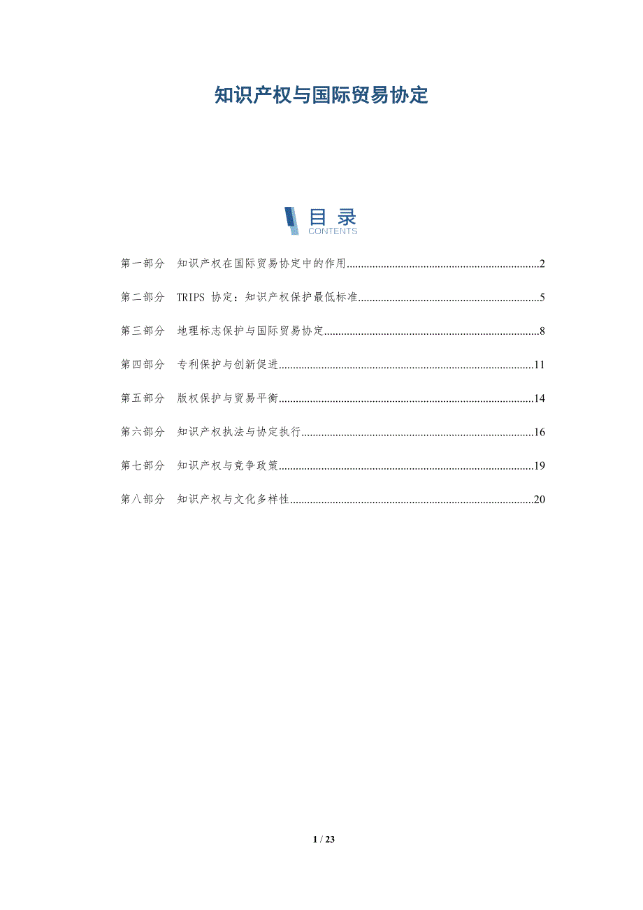 知识产权与国际贸易协定_第1页