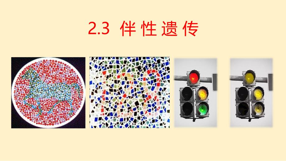 【生物】伴性遗传课件-2023-2024学年高一下学期 人教版必修二_第1页