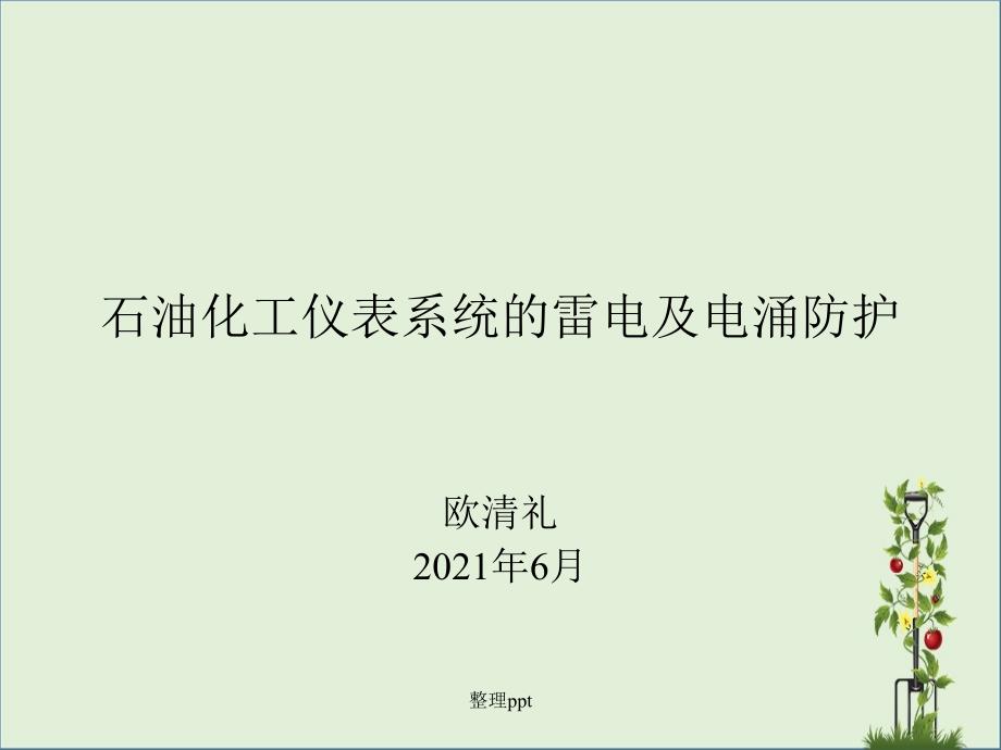 石油化工仪表雷电及电涌防护_第1页