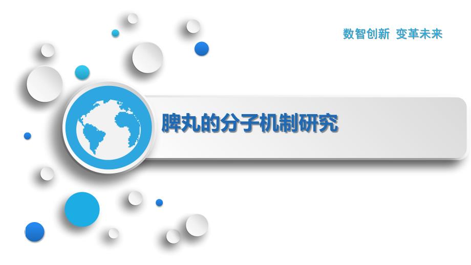 脾丸的分子机制研究_第1页