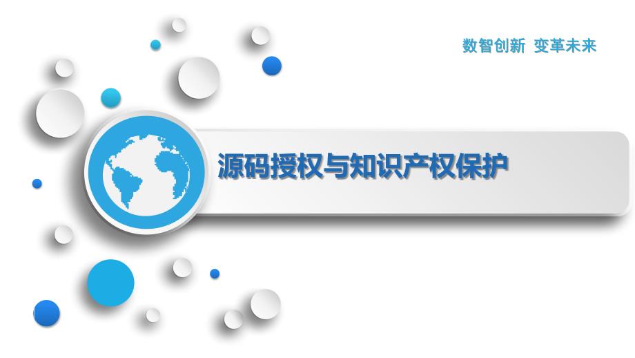 源码授权与知识产权保护_第1页