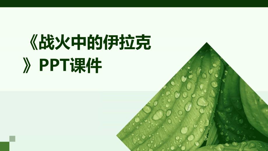 《战火中的伊拉克》课件_第1页