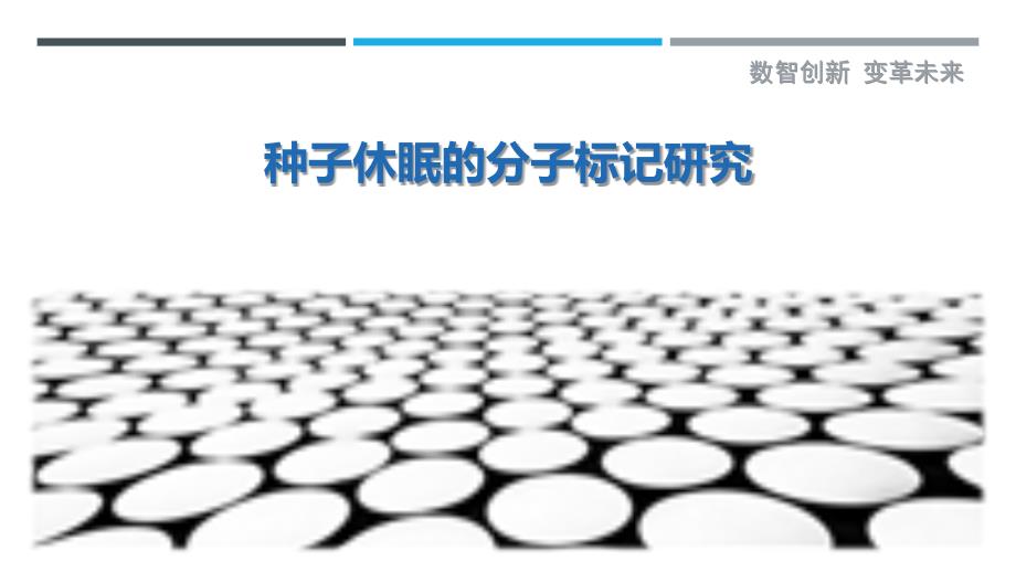 种子休眠的分子标记研究_第1页