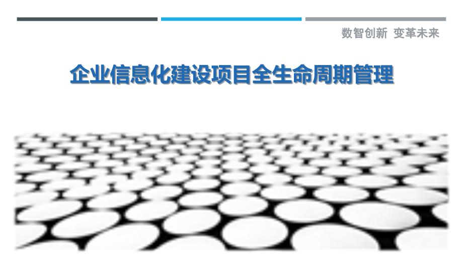 企业信息化建设项目全生命周期管理_第1页