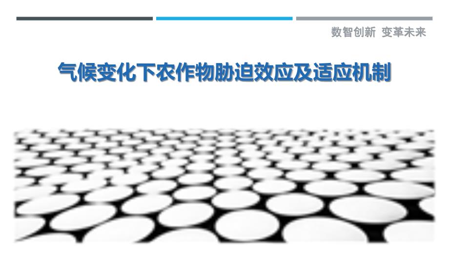 气候变化下农作物胁迫效应及适应机制_第1页