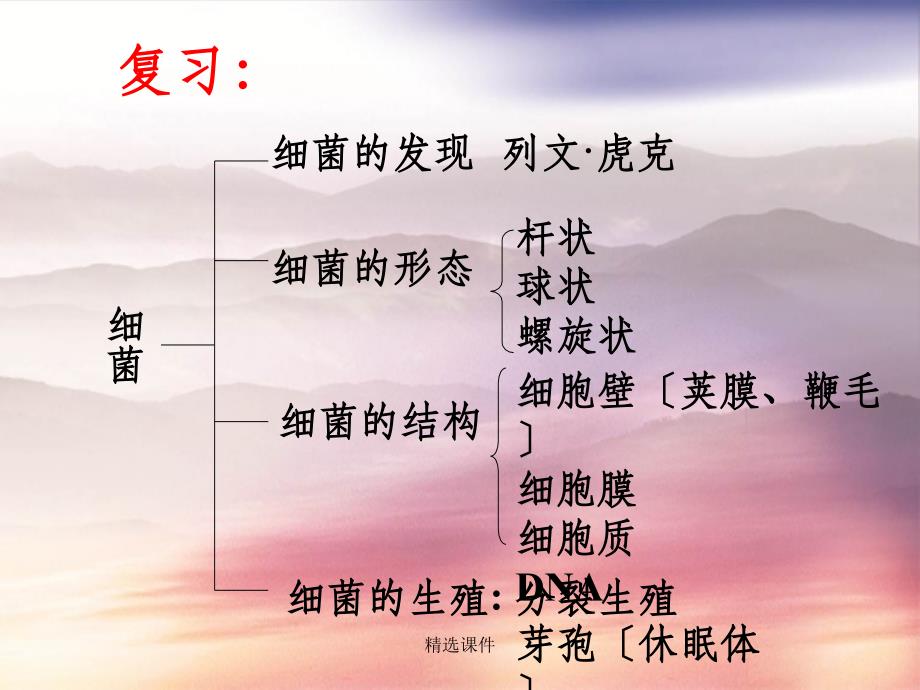 八年级生物上册5.4.3真菌4 新人教版_第1页