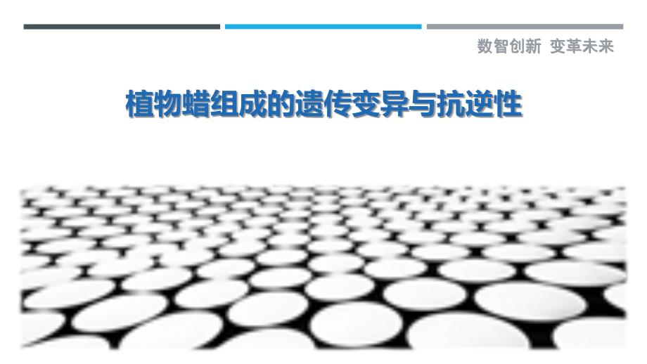 植物蜡组成的遗传变异与抗逆性_第1页