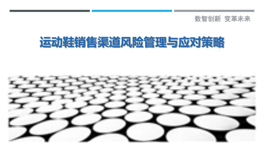 运动鞋销售渠道风险管理与应对策略_第1页