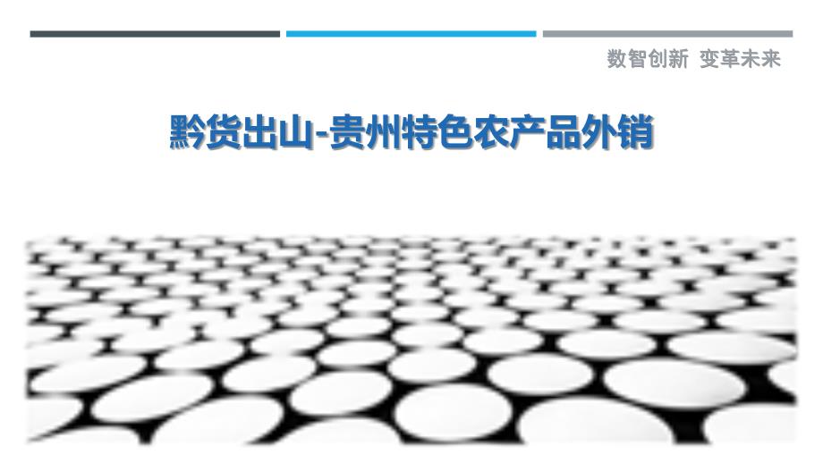黔货出山-贵州特色农产品外销_第1页