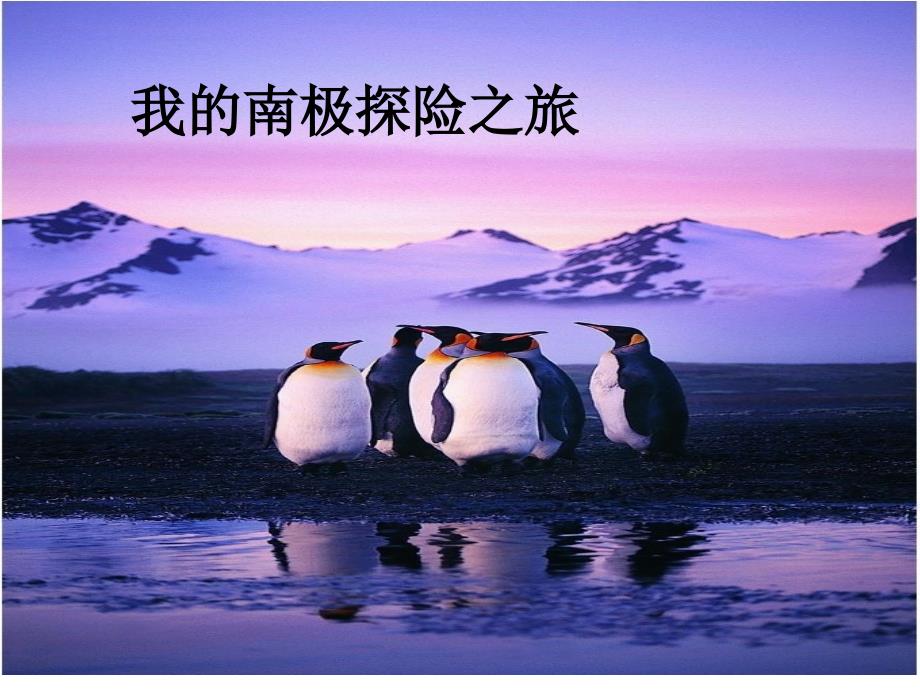 我的南极探险之旅（课件）五年级下册综合实践活动沪科黔科版_第1页