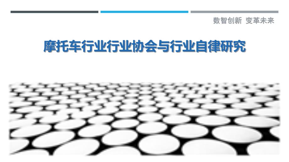 摩托车行业行业协会与行业自律研究_第1页