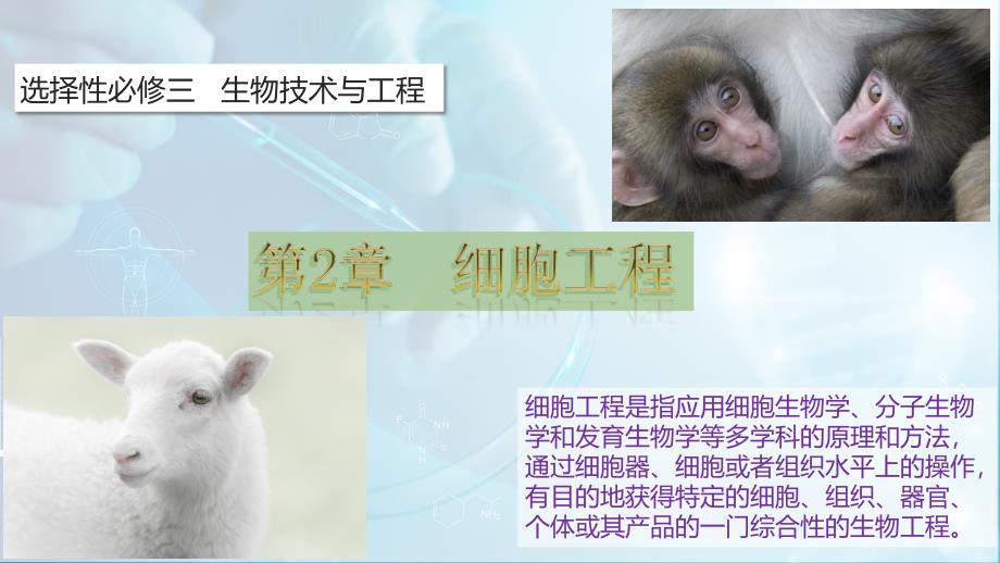 第2章 细胞工程（大单元教学解读课件）高二生物（人教版选择性必修3）_第1页