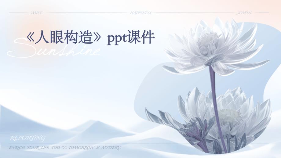 《人眼构造》课件_第1页