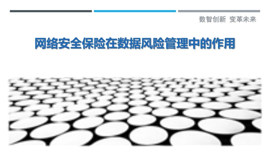 网络安全保险在数据风险管理中的作用_第1页