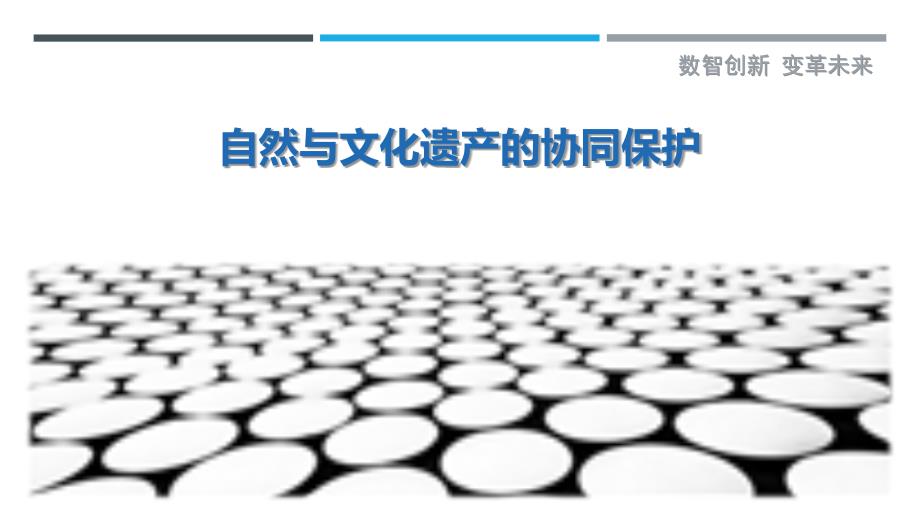自然与文化遗产的协同保护_第1页