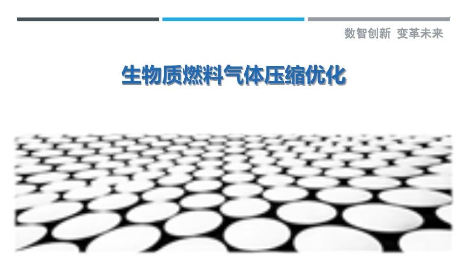 生物质燃料气体压缩优化_第1页