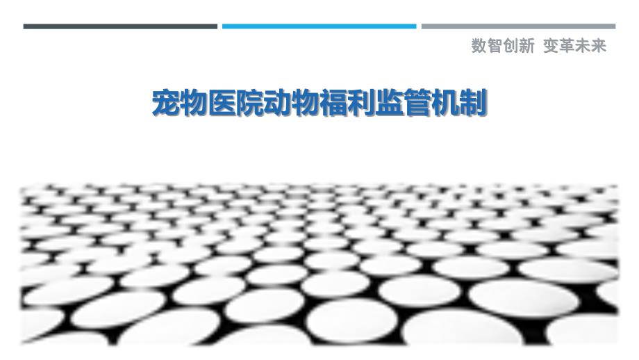 宠物医院动物福利监管机制_第1页