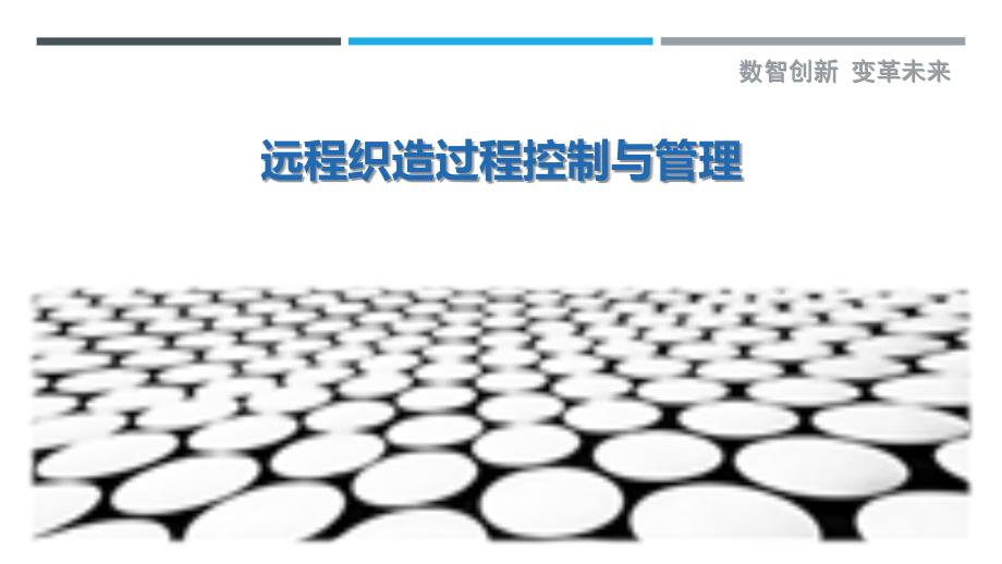 远程织造过程控制与管理_第1页