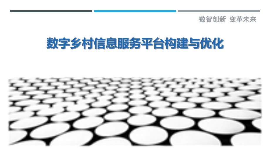 数字乡村信息服务平台构建与优化_第1页