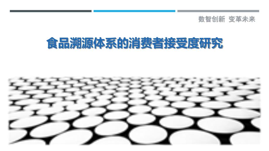 食品溯源体系的消费者接受度研究_第1页