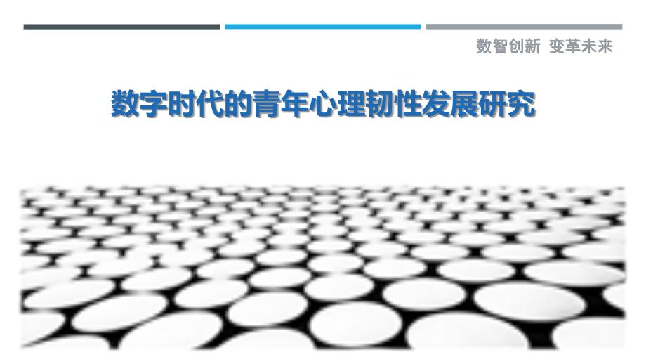 数字时代的青年心理韧性发展研究_第1页