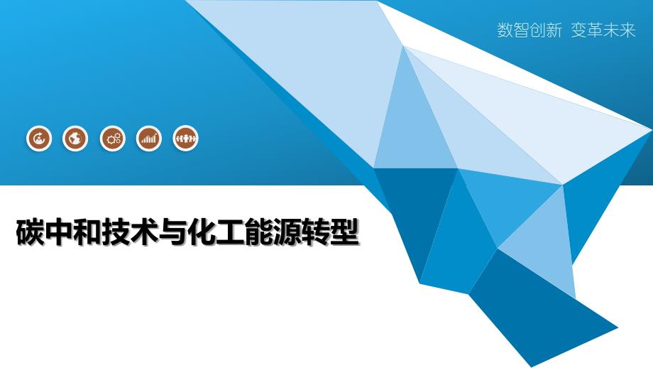 碳中和技术与化工能源转型_第1页