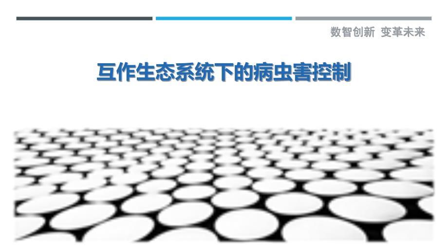 互作生态系统下的病虫害控制_第1页