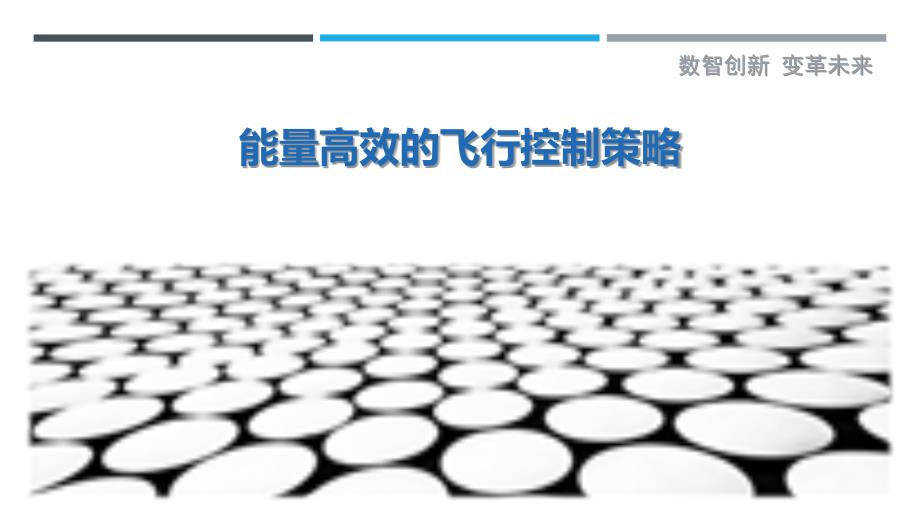 能量高效的飞行控制策略_第1页