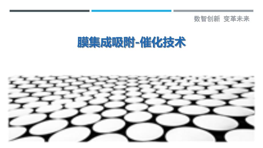 膜集成吸附-催化技术_第1页