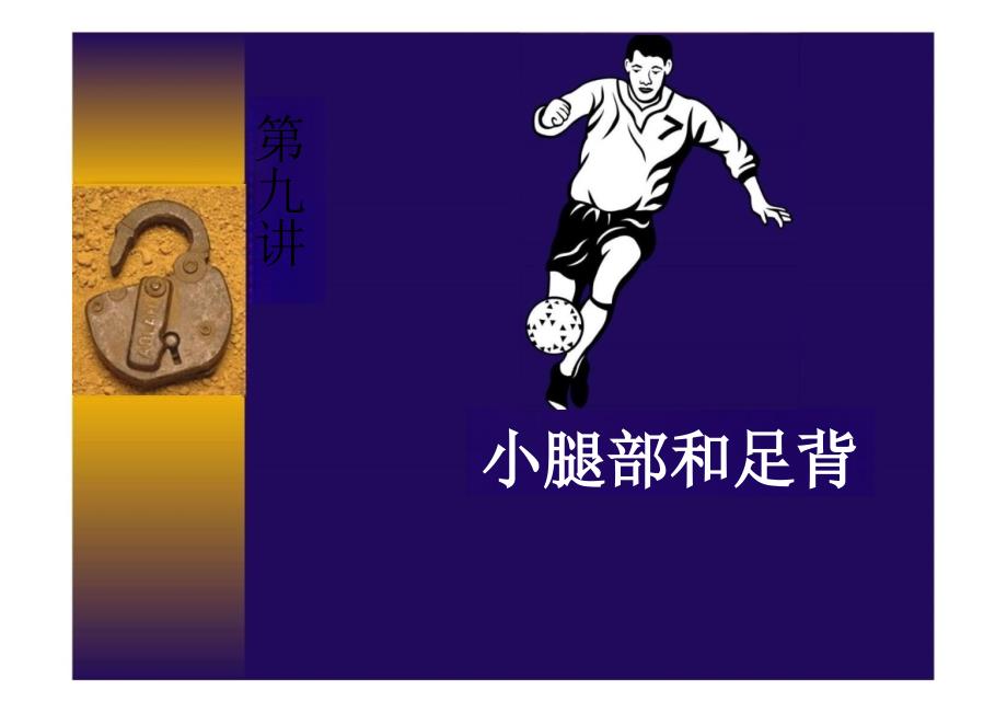 局部解剖学：小腿和足背_第1页