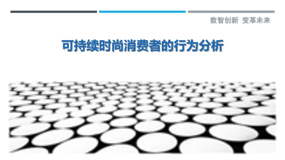 可持续时尚消费者的行为分析_第1页