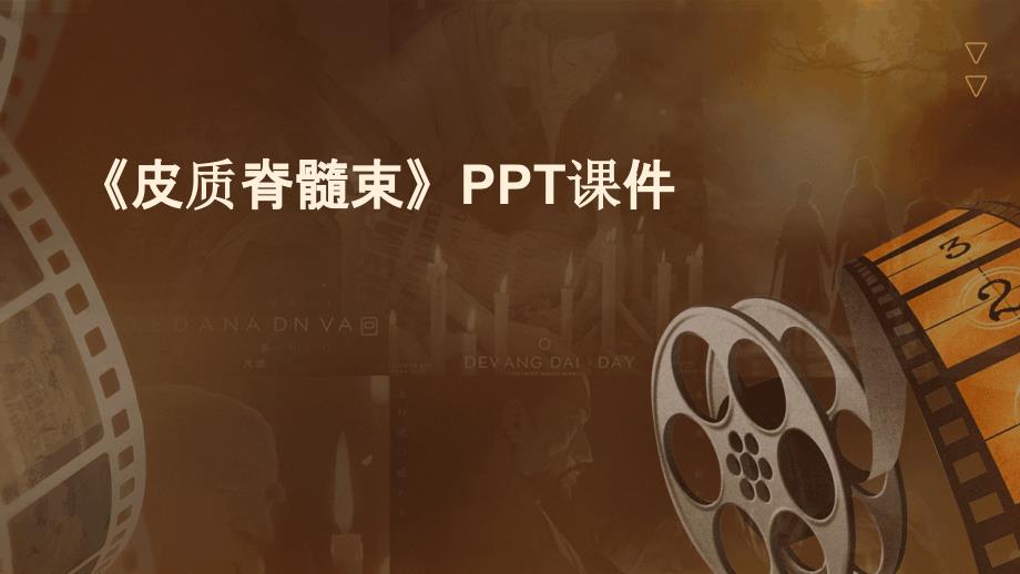 《皮质脊髓束》课件_第1页
