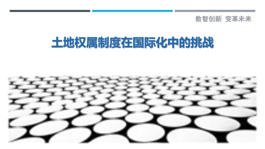 土地权属制度在国际化中的挑战_第1页