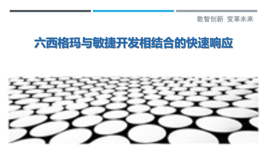 六西格玛与敏捷开发相结合的快速响应_第1页