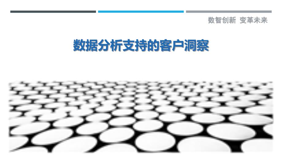 数据分析支持的客户洞察_第1页