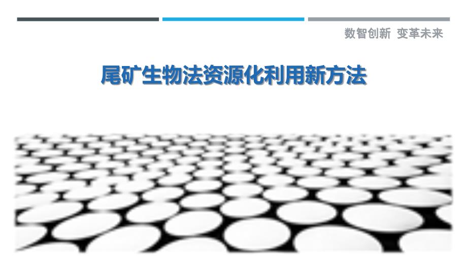 尾矿生物法资源化利用新方法_第1页
