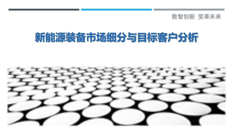 新能源装备市场细分与目标客户分析_第1页
